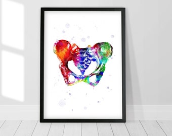 Pelvis art print Anatomy watercolor