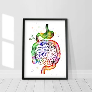 Darm aquarel Art Print, menselijke organen, anatomische kunst, poster van het spijsverteringsstelsel, gastro-intestinale kunst, medisch decor