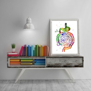 Intestine Watercolor Art Print, Human Organs, Anatomy Art, Digestive ...