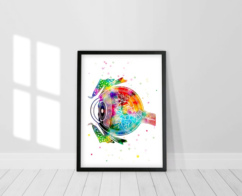 Eye Anatomy Poster Optometry Poster Eye Diagram Anatomy Eye - Etsy