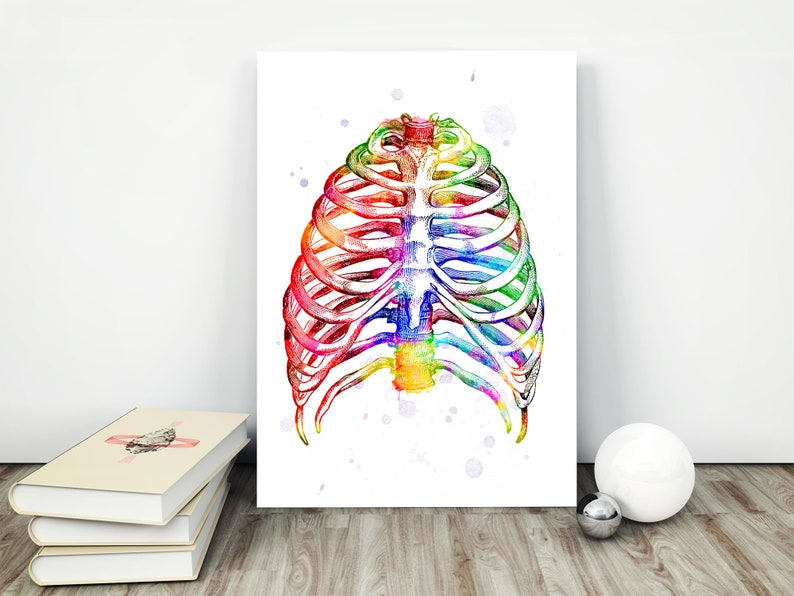 Rib Cage Anatomy Art / Ribcage (With images) | Anatomy art, Skeleton drawings, Rib cage drawing Rib Cage Anatomy Art / Ribcage (With images) | Anatomy art, Skeleton drawings, Rib cage drawing