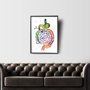 Intestine Watercolor Art Print, Human Organs, Anatomy Art, Digestive ...
