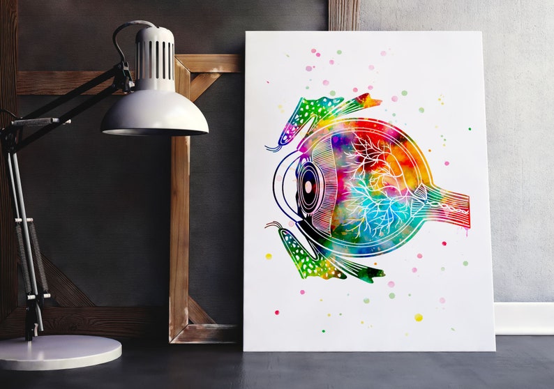 Eye Anatomy Poster Optometry Poster Eye Diagram Anatomy Eye - Etsy