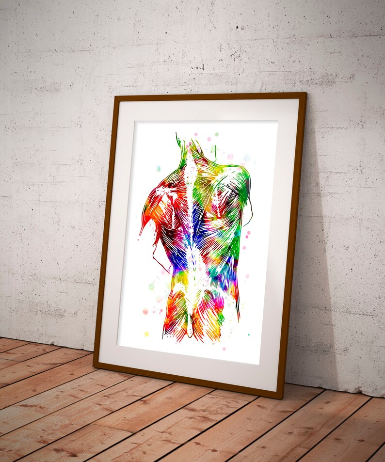 Muscles of Back Anatomy Print Human Anatomy Art Back Muscle Etsy
