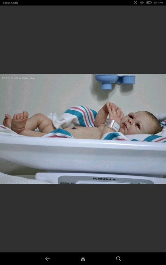 reborn baby in womb