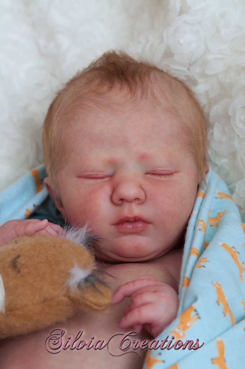realborn logan