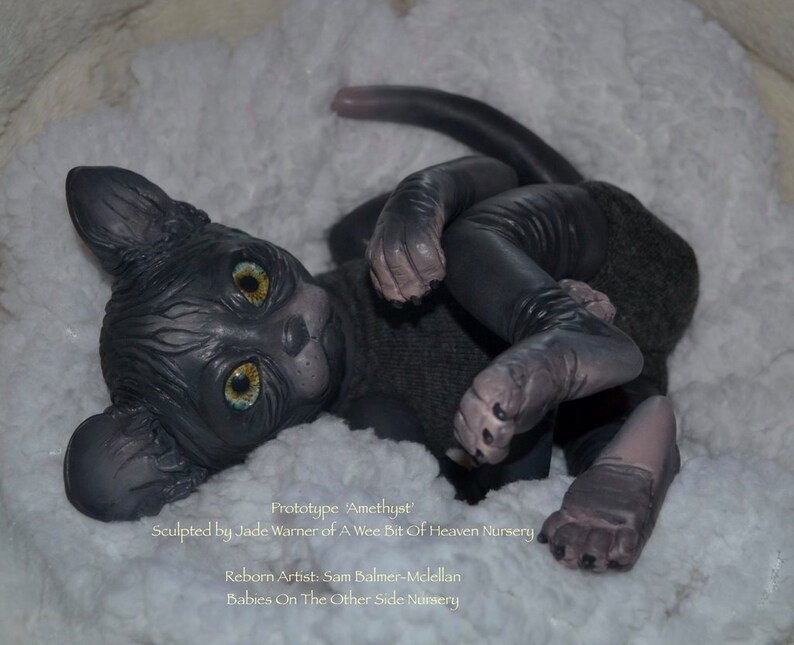 cat reborn