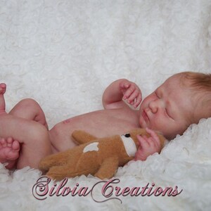 logan asleep reborn kit