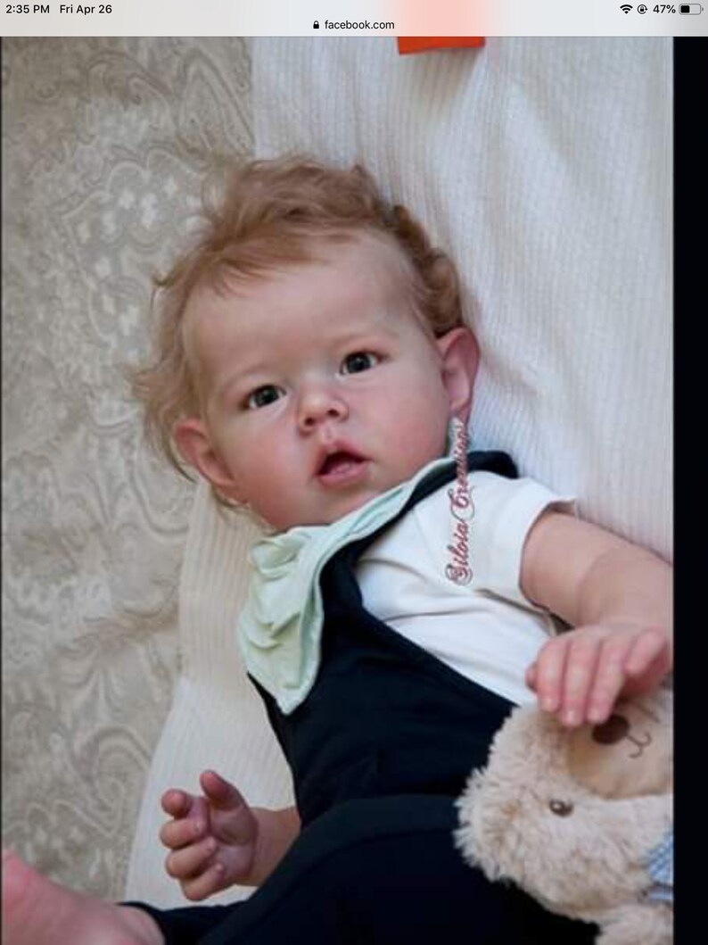 Custom made reborn Liam by Bonnie BROWN Limited Edition COA