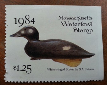 MASSACHUSETTS 1984 State Duck Stamp of White Winged Scoter Decoy by S A Fabens and painted by Joesph Cibula Great Collectible!