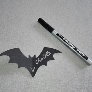 May include: A black paper bat with the name "Charlotte" written in silver paint marker. A silver paint marker with the text "edding 780 paint marker" is also in the image.