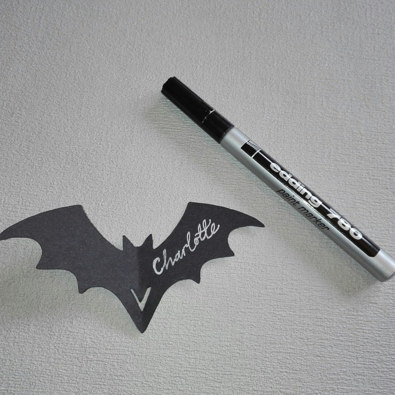 May include: A black paper bat with the name "Charlotte" written in silver paint marker. A silver paint marker with the text "edding 780 paint marker" is also in the image.