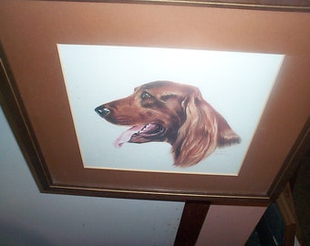 Framed Irish Setter Dog Print, Artist Signed