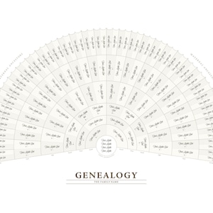 Fan Chart de généalogie — Modèle Adobe Illustrator