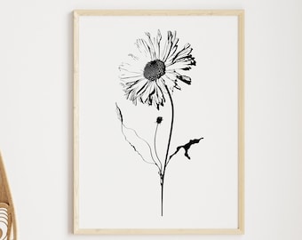 Daisy Wall Art, Daisy Digital Print, Botanical Print, Digital Wall Art, Floral Poster, Floral Artwork Poster, Flower Wall Decor
