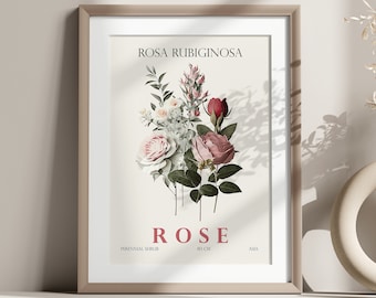 Decoración de pared de rosas, impresión digital de rosas, impresión botánica, arte de pared digital, póster floral, póster de obras de arte florales, decoración de pared de flores