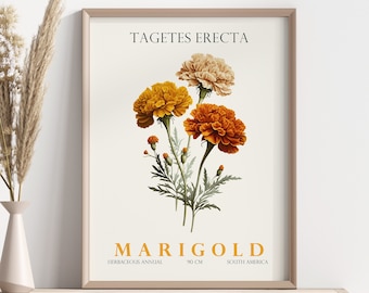 Decoración de pared de caléndula, impresión digital de caléndula, cartel floral, cartel de obras de arte floral, impresión botánica, decoración de pared de flores, arte de pared digital