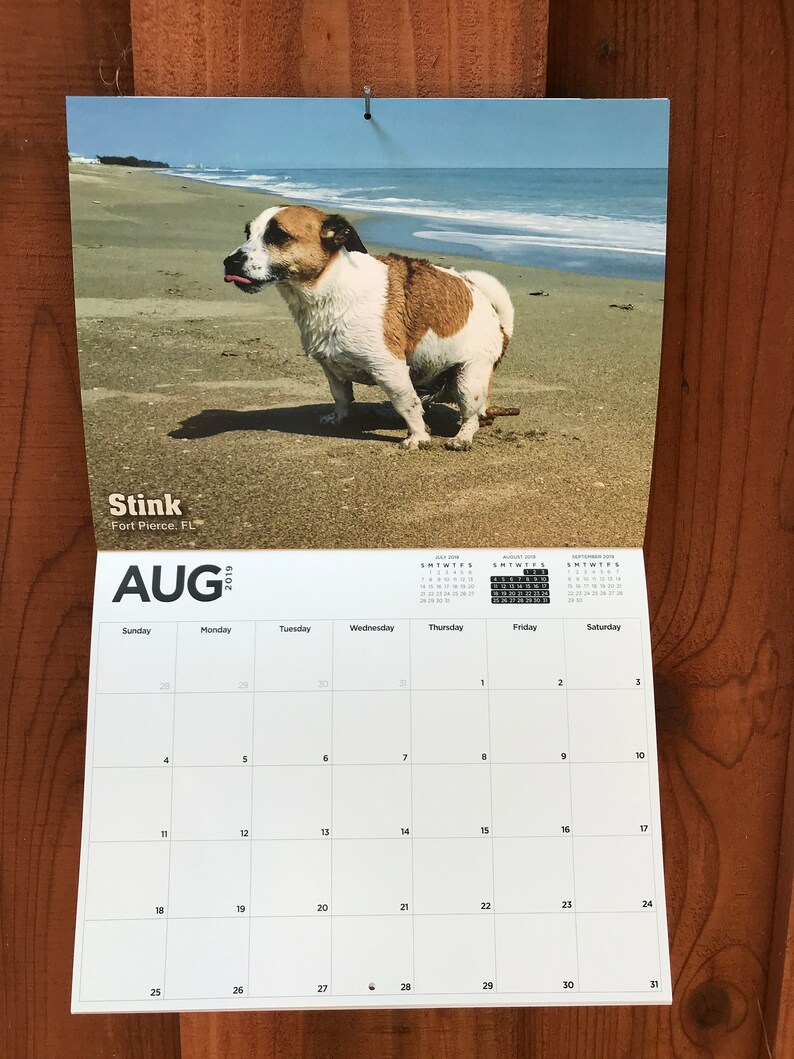 Ing Pooches 2019 Dog Calendar White Elephant Gag Gift Image 0