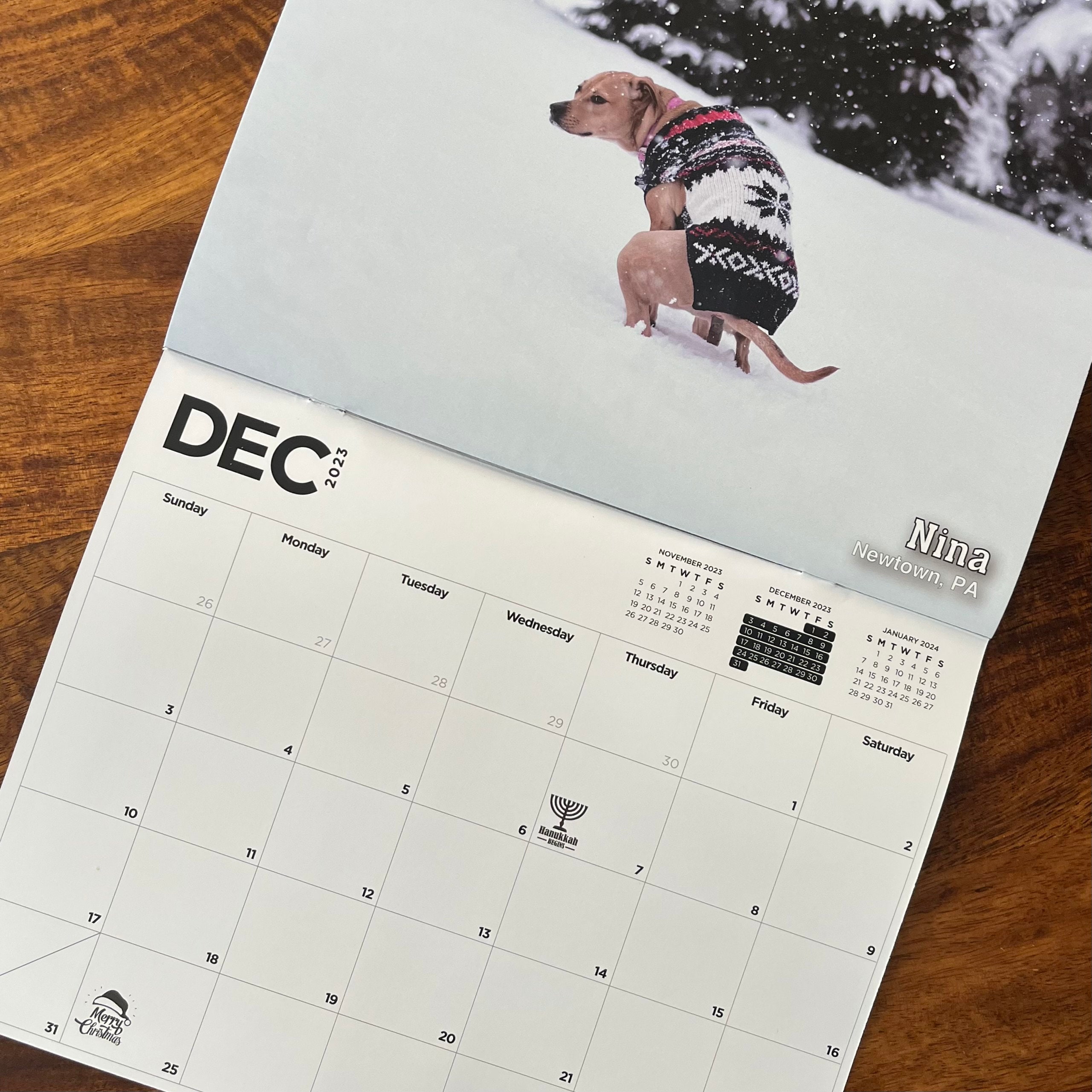 2023-pooping-pooches-dog-calendar-white-elephant-gag-gift-etsy
