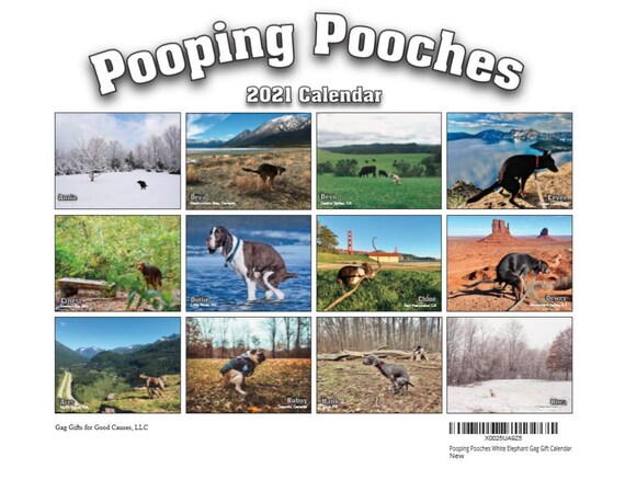 dogs pooping calendar 2021 2021 Pooping Pooches Dog Calendar White Elephant Gag Gift Etsy dogs pooping calendar 2021