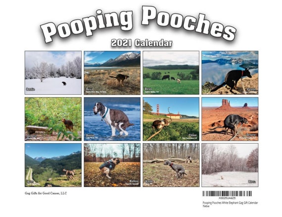 dogs pooping calendar 2021 2021 Pooping Pooches Dog Calendar White Elephant Gag Gift Etsy dogs pooping calendar 2021