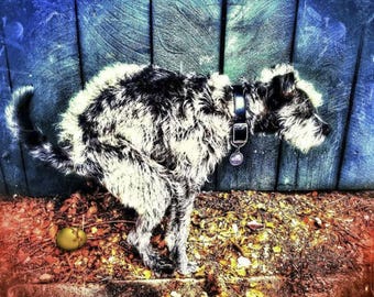 Tarjeta de Pascua divertida de PoopingPooches.com