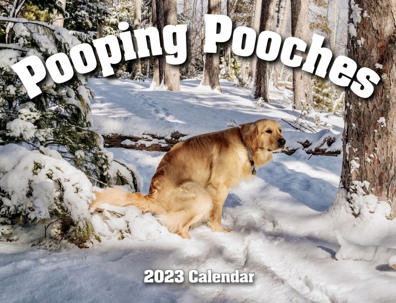 2023 Pooping Pooches Dog Calendar, White Elephant Gag Gift Exchange or Yankee Swap 