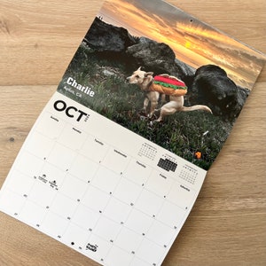 2024 Pooping Pooches Dog Calendar, White Elephant Gag Gift Exchange or Yankee Swap image 5