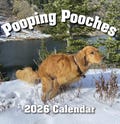 2026 Pooping Pooches Dog Calendar, White Elephant Gag Gift Exchange or Yankee Swap