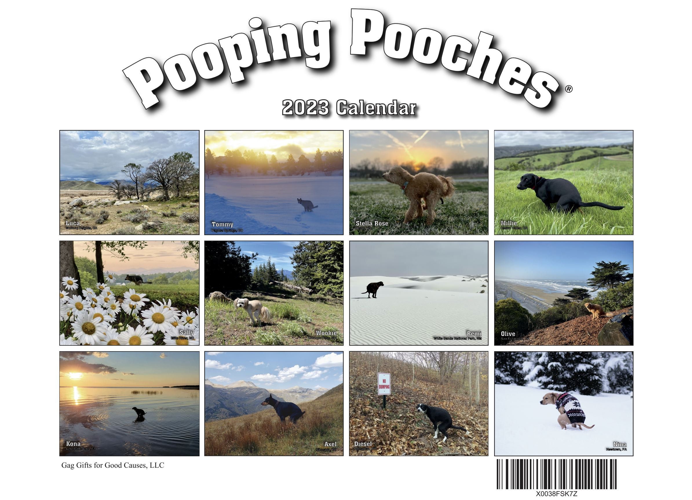 2023 Pooping Pooches Dog Calendar White Elephant Gag Gift Etsy Canada