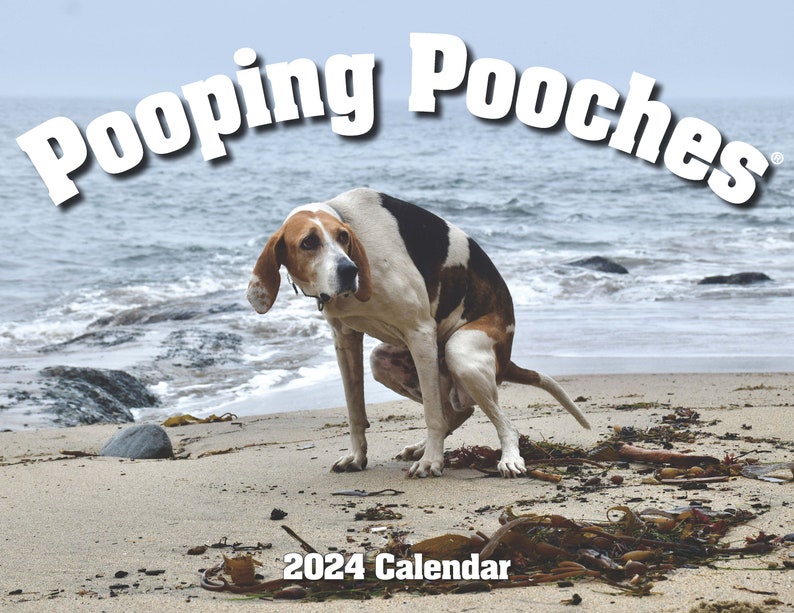 2024 Pooping Pooches Dog Calendar White Elephant Gag Gift image 1