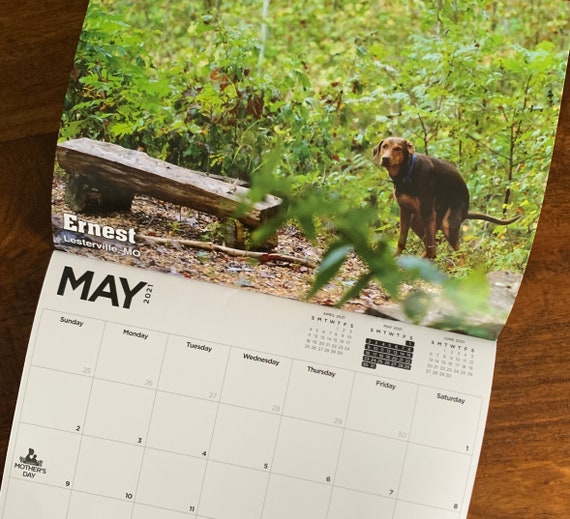 dog pooping calendar 2021 2021 Pooping Pooches Dog Calendar White Elephant Gag Gift Etsy dog pooping calendar 2021