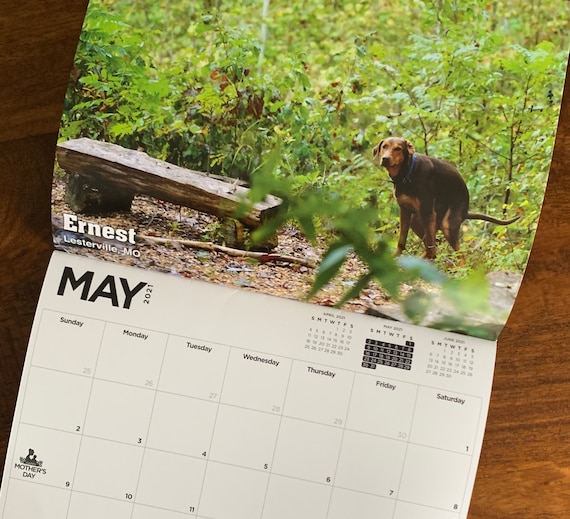 2021 Pooping Pooches Dog Calendar White Elephant Gag Gift Etsy pooping dogs calendar 2021