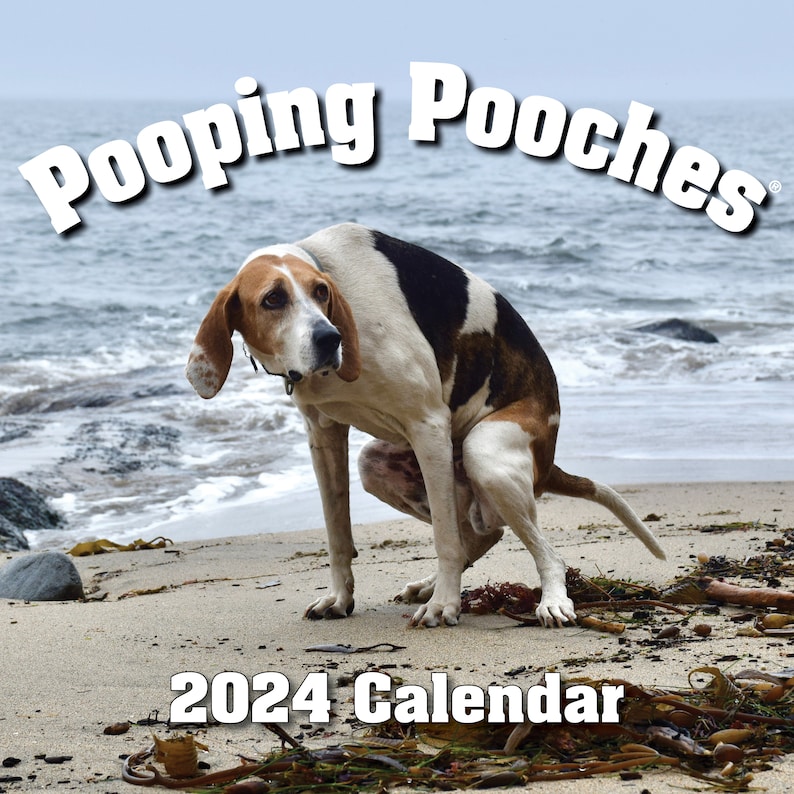 2024 Pooping Pooches Dog Calendar, White Elephant Gag Gift Exchange or Yankee Swap image 1