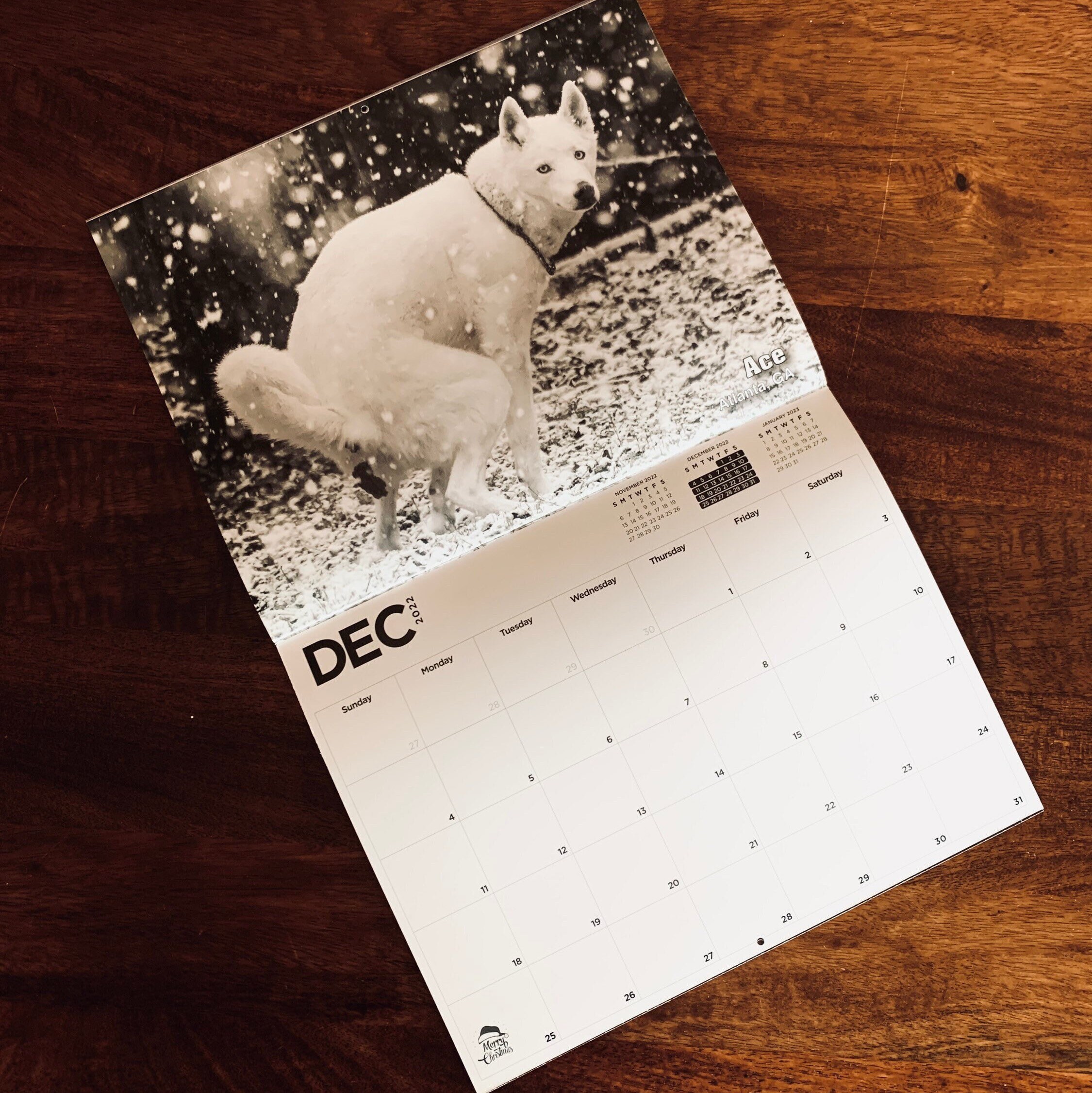 Calendrier Chien 2023 2022 Pooping Pooches Dog Calendar White Elephant Gag Gift | Etsy