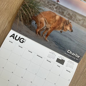 2024 Pooping Pooches Dog Calendar White Elephant Gag Gift image 5