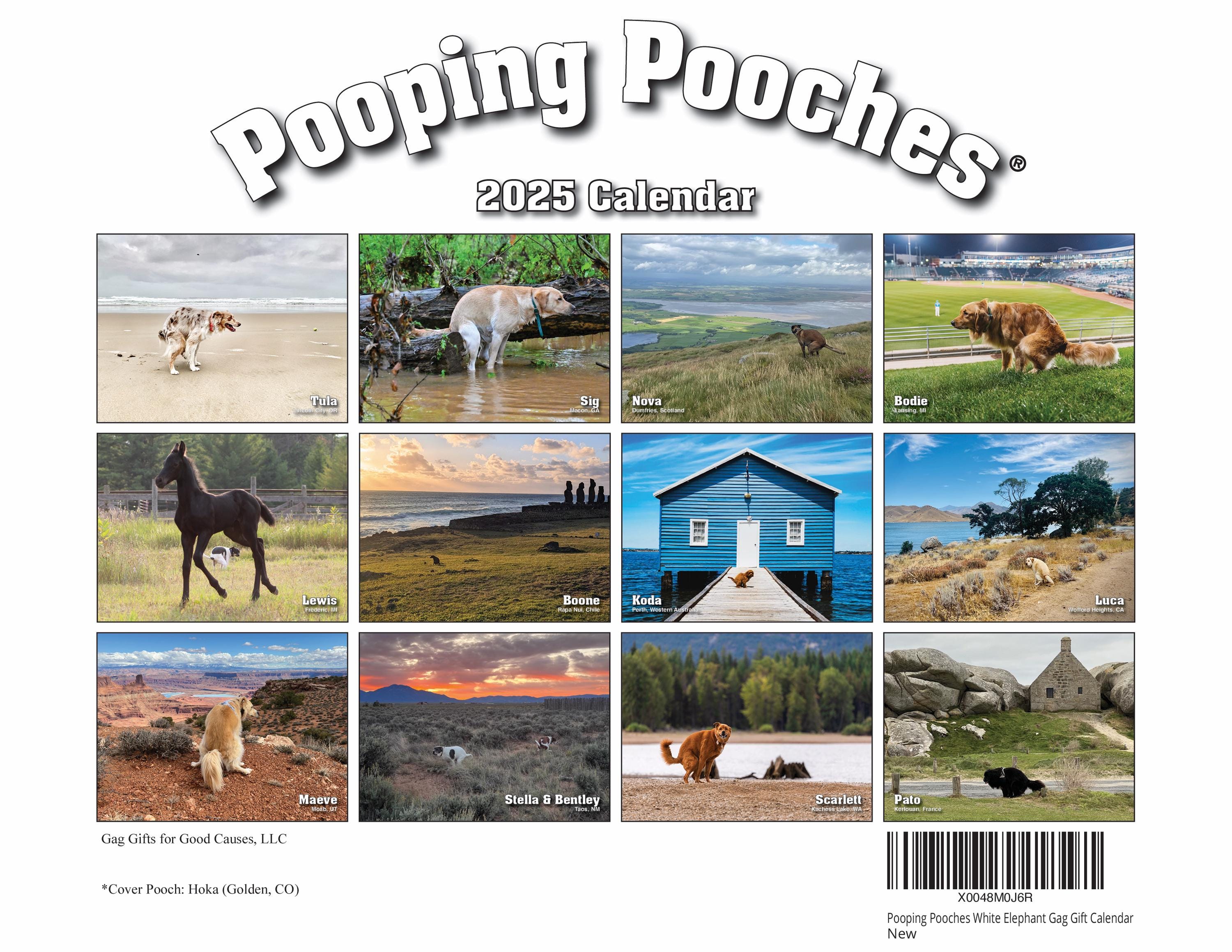 Gag Gifts - White Elephant Gag Gifts Calendar 2025, Pooping
