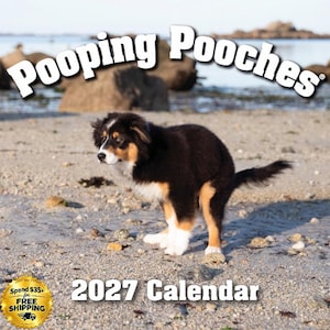 May include: A 2027 calendar titled Pooping Pooches featuring a photograph of a black, white, and tan Australian Shepherd puppy standing on a sandy beach. The text Pooping Pooches appears in large white letters at the top of the calendar cover.