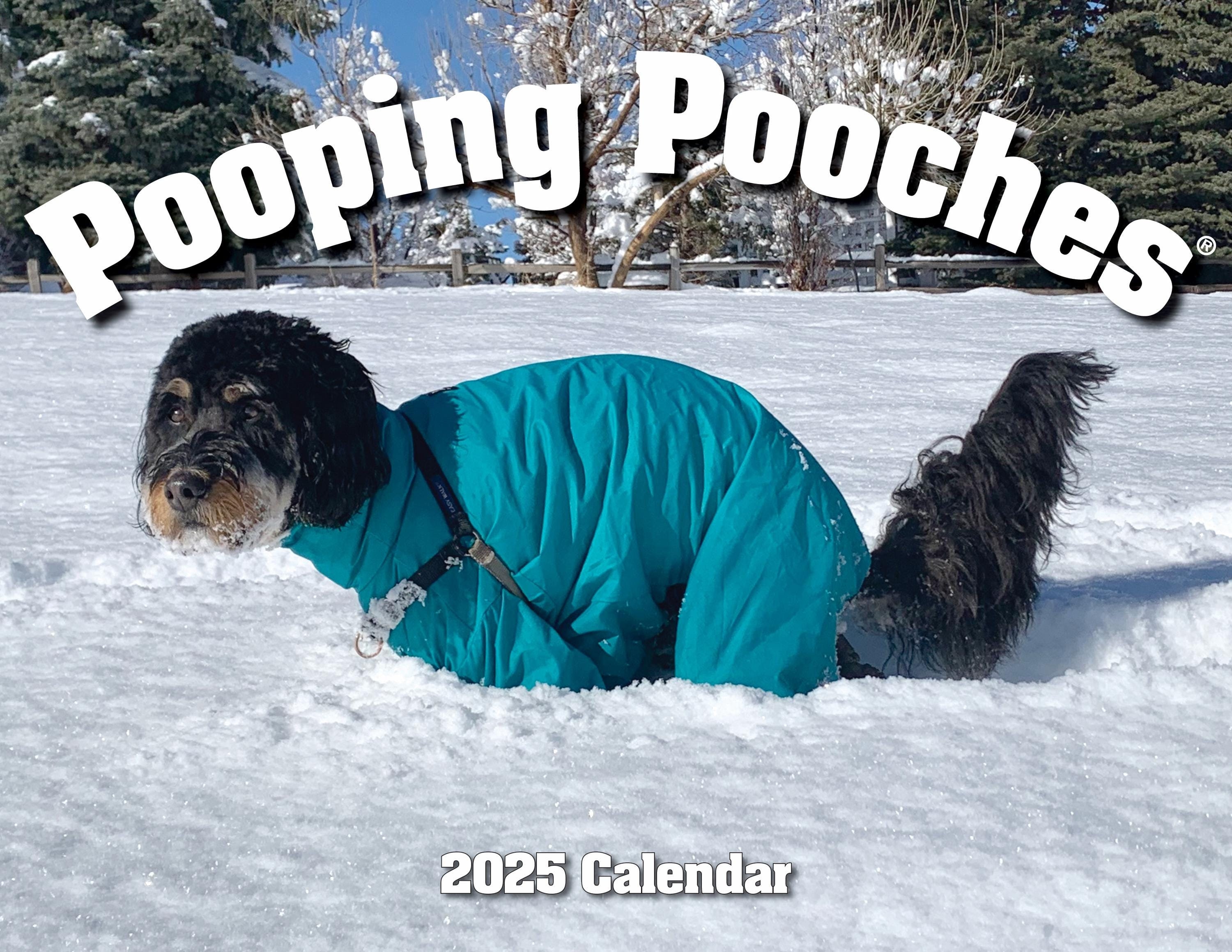 初売り 2025年 うんち犬カレンダー、ホワイトエレファントギャグギフト 文房具・オフィス用品