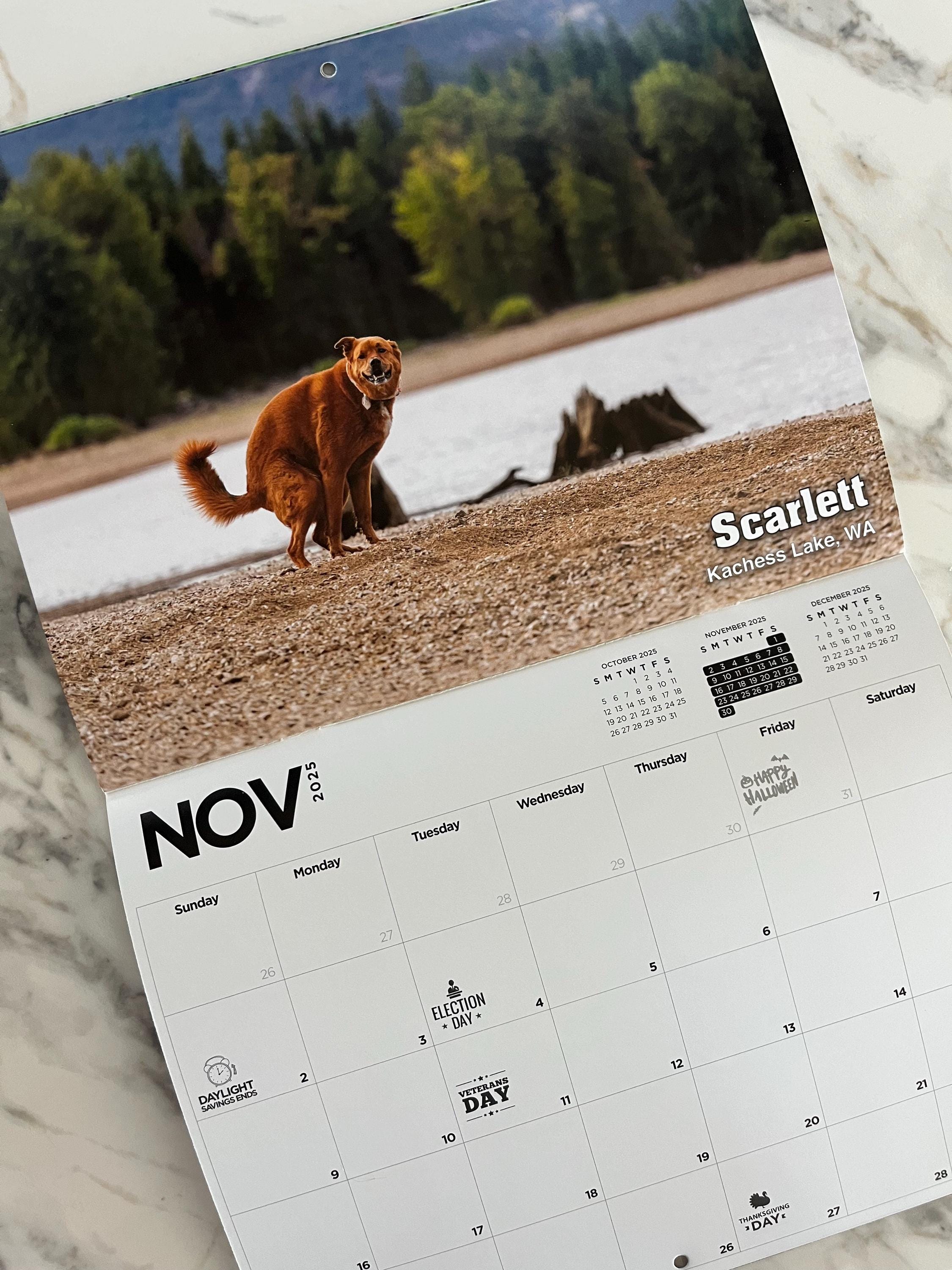 Gag Gifts - White Elephant Gag Gifts Calendar 2025, Pooping