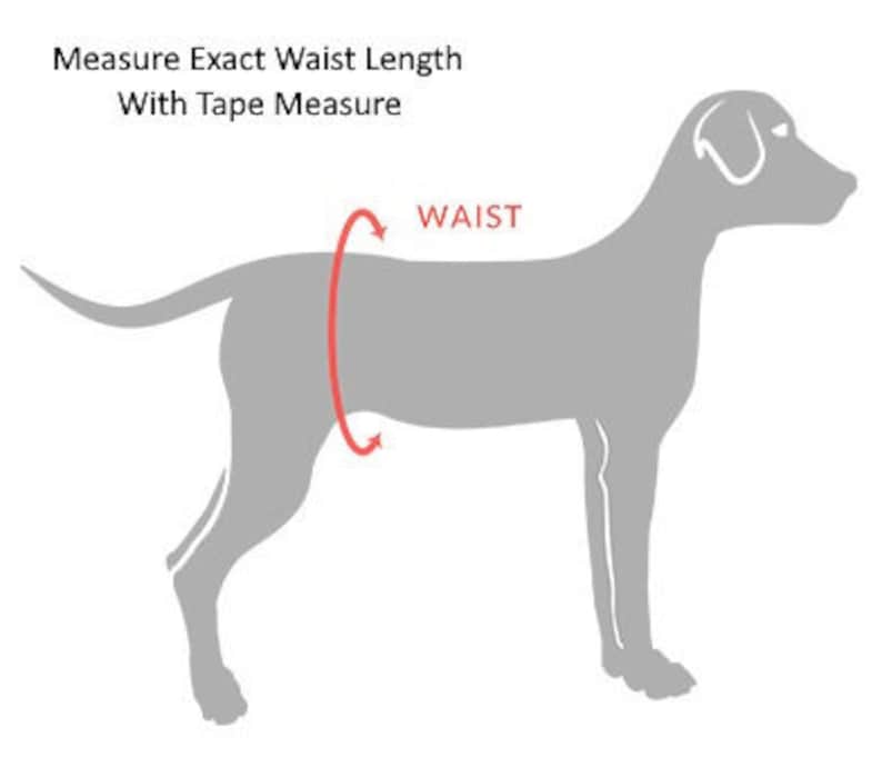 Incontinence w PUL /& All-in-One Options Male Dog Belly Band Diaper for Marking Stars and Stripes