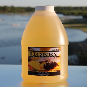 Miel brut pur miel du Nebraska naturel un pot de 5 lb
