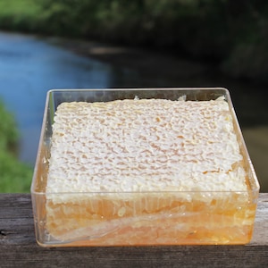 Raw Comb Honey Pure Natural Nebraska Honey 16 oz Cut Comb