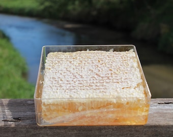 Miel cruda en panal Miel pura y natural de Nebraska 16 oz Panal cortado