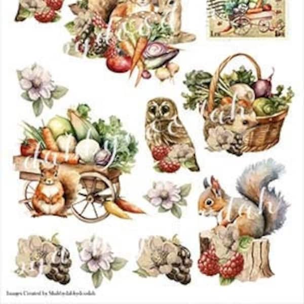 8 Pg AUTUMN HARVEST Autumn Themed Fussy Cuts Journaling Cards Junk Journal Printable - Card Making Ephemera fun Labels Tags Complete Set