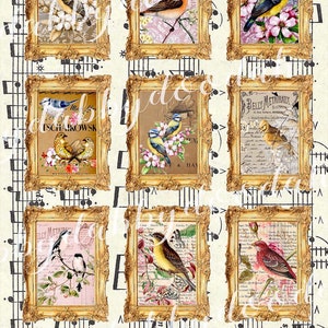 11 Page Framed BIRD TOPPERS Vintage Themed Die Cuts Embellishment Digital Printable ephemera paperwork Tickets Ephemera Nature Junk Journal
