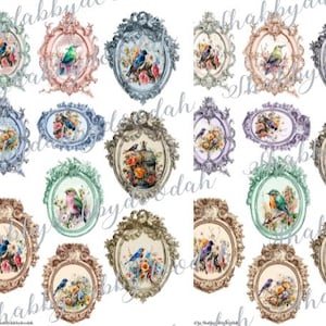 10 Page Framed BIRD AVIARY TOPPERS & Notecards Envelope Vintage Themed Digital Printable Ephemera paperwork Tickets Nature Junk Journal