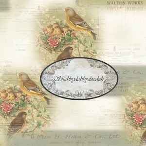 10 x pagine di sfondo CANTO DEGLI UCCELLI Vintage Natura Uccelli Colorati Scrapbook Carta Spazzatura Diario Stampabile Verde Pois - Diari Carta Digi