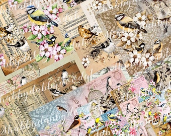 37 pg The BIRDS COLLECTION Beautiful Background Pages Themed Digital Print Naturel Pink Journaing Cards Junk Journal Printable Bird