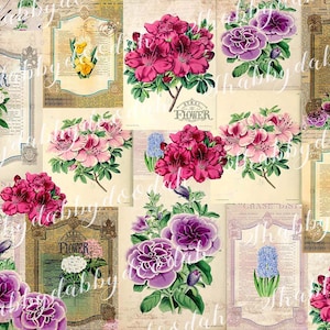 27 pg COLEÇÃO BOTÂNICA Floral Verão Vintage Flores Temáticas Impressão Digital Fundo Páginas Cartões de Diário Diário de Lixo Imprimível Rosa